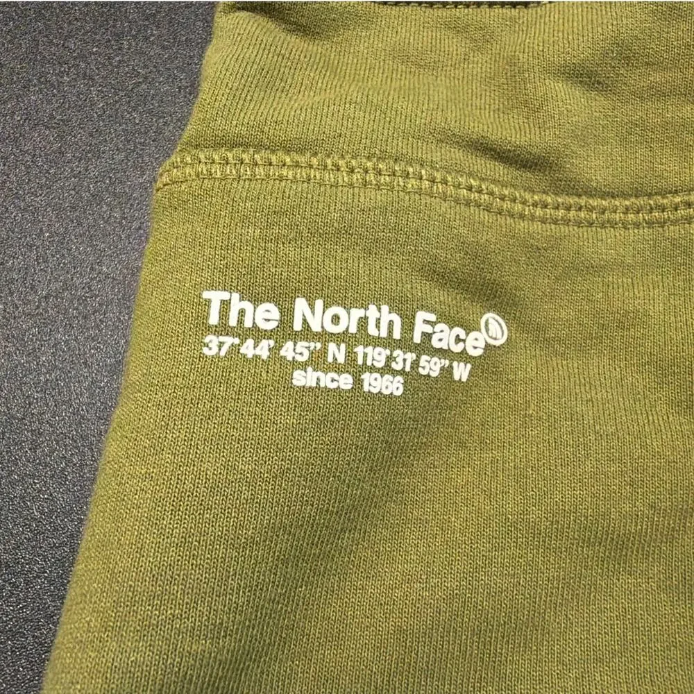 NWT The North Face Maxys Shorts, Forest Olive, Men's Small